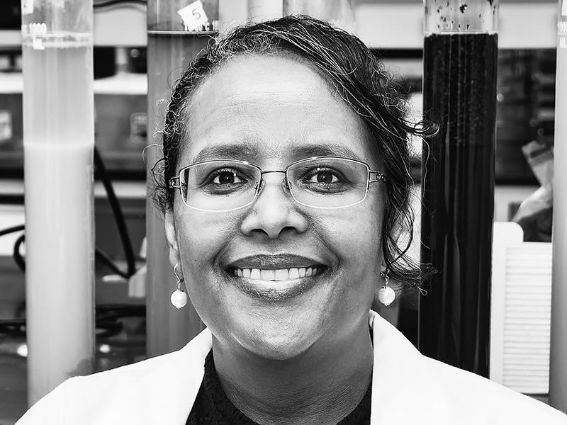 Asmeret Asefaw Berhe